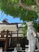 鳥越神社(東京都)