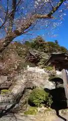 久遠寺の自然