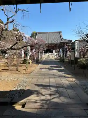 輪王寺両大師堂(寛永寺輪王殿)(東京都)