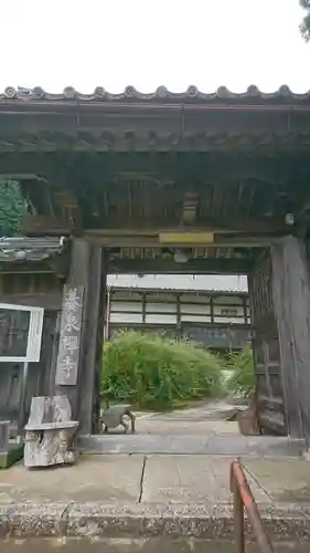 養泉寺の山門