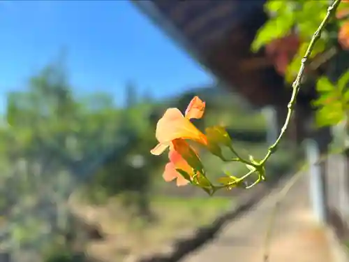倶梨迦羅神社(長野県)