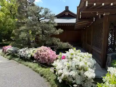 城南宮(京都府)