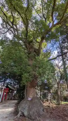 入見神社(愛知県)