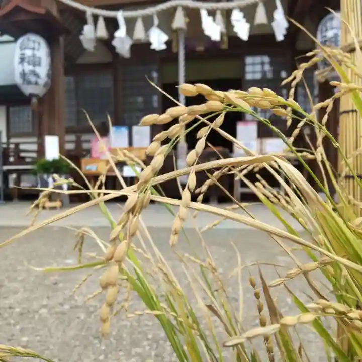 七重浜海津見神社の自然