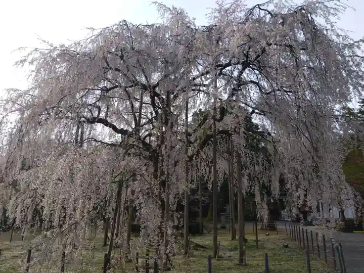 足羽神社(福井県)