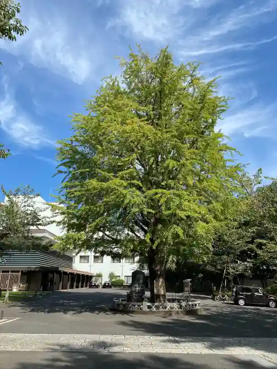 善福寺(東京都)