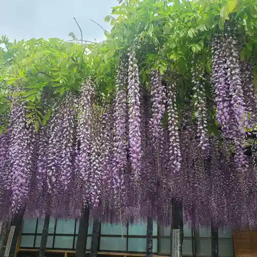 武蔵寺(福岡県)