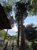 加茂神社(福井県)