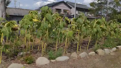 石刀神社の自然