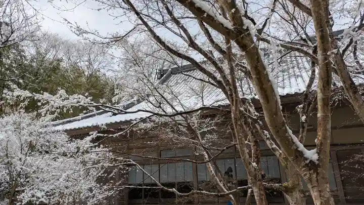 圓光寺(京都府)