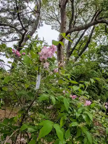 住吉大社(大阪府)