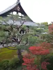 両足院の本殿