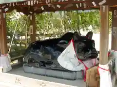 北野天満宮の狛犬