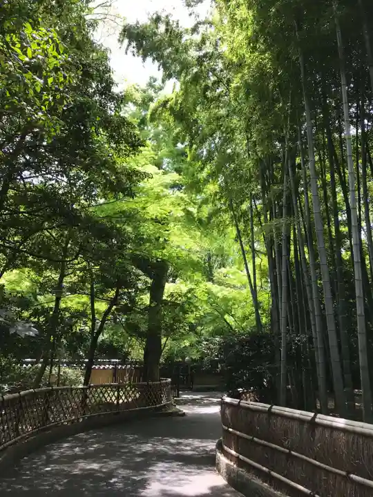 宝珠山 観泉寺の庭園