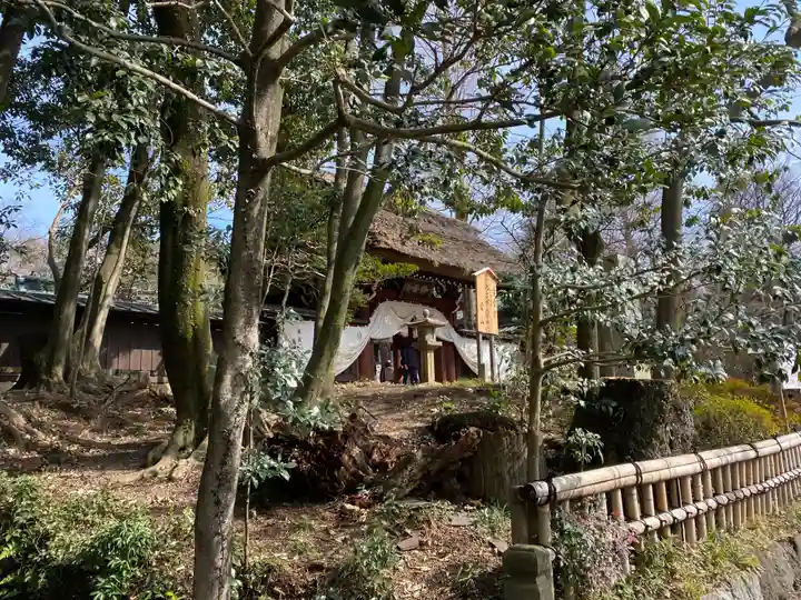 深大寺(東京都)