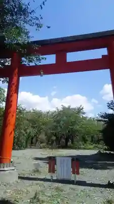 平野神社の鳥居