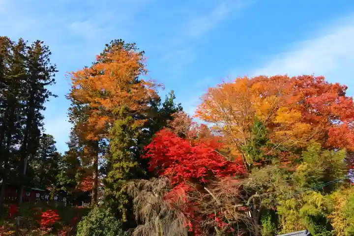田村神社の景色