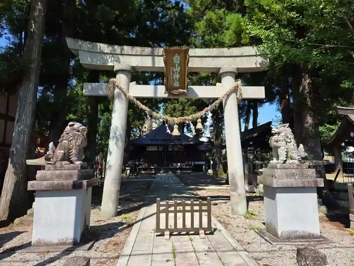 一本杉白山神社(岐阜県)