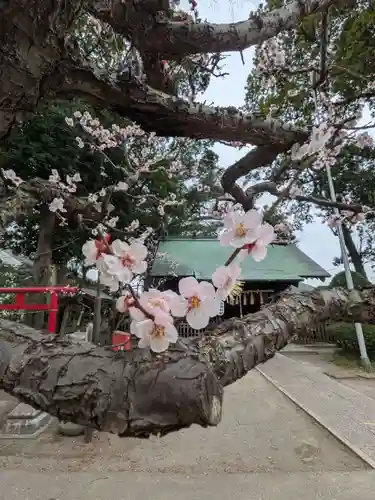 田端神社(東京都)