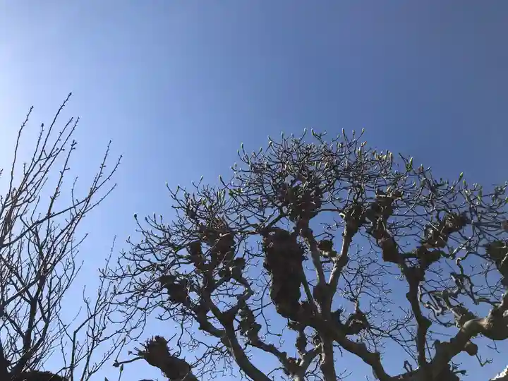妙経寺(神奈川県)
