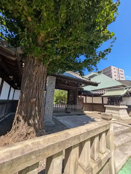 泊船軒(東京都)