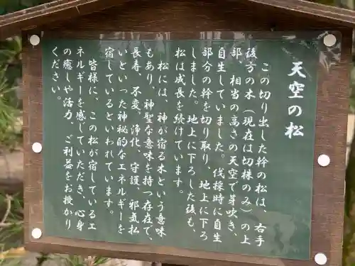 大和神社(奈良県)