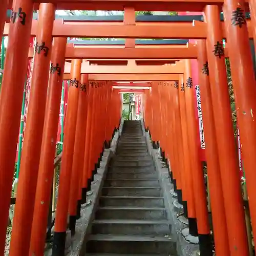日枝神社の鳥居