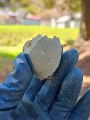 美幌神社(北海道)