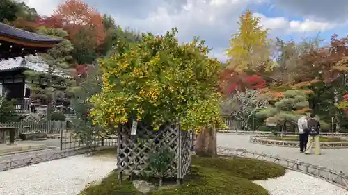 二尊院(京都府)