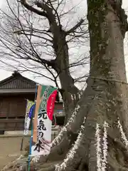 八枝神社(埼玉県)