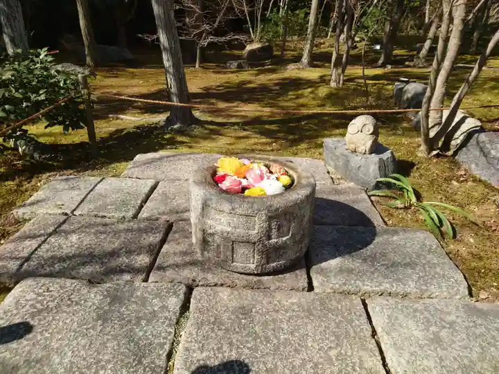 勝林寺(京都府)