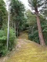 天御中主神社の自然