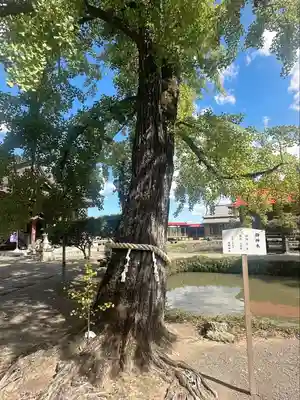 熊野神社(宮城県)