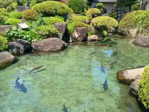 甲斐善光寺(山梨県)