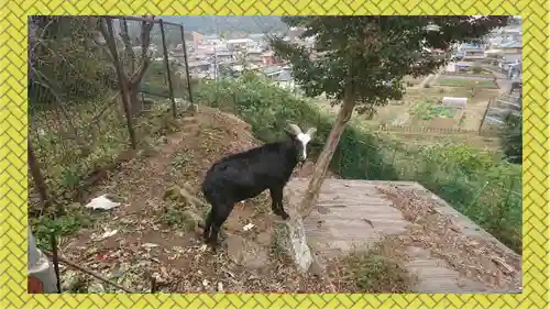 賀茂別雷神社(栃木県)