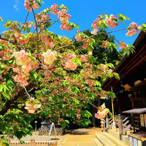 上地八幡宮の庭園