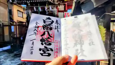 白幡八幡神社の御朱印