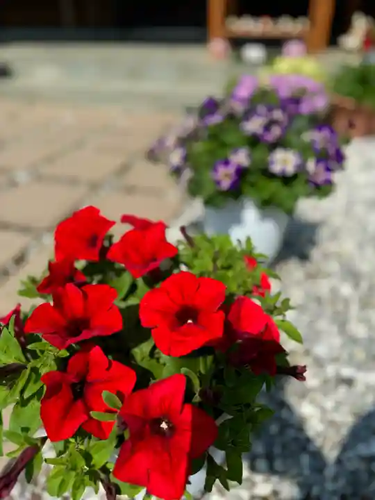 伊達神社(北海道)