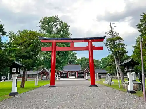 北海道護國神社の鳥居