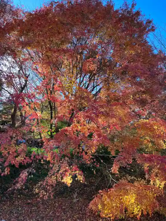 国宝 長寿寺(滋賀県)