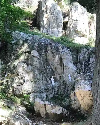 鹿島大神宮の自然