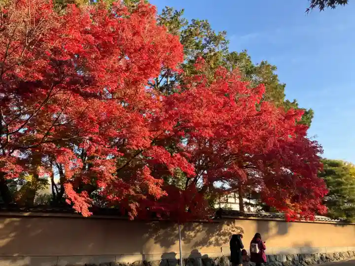 東福禅寺(東福寺)(京都府)