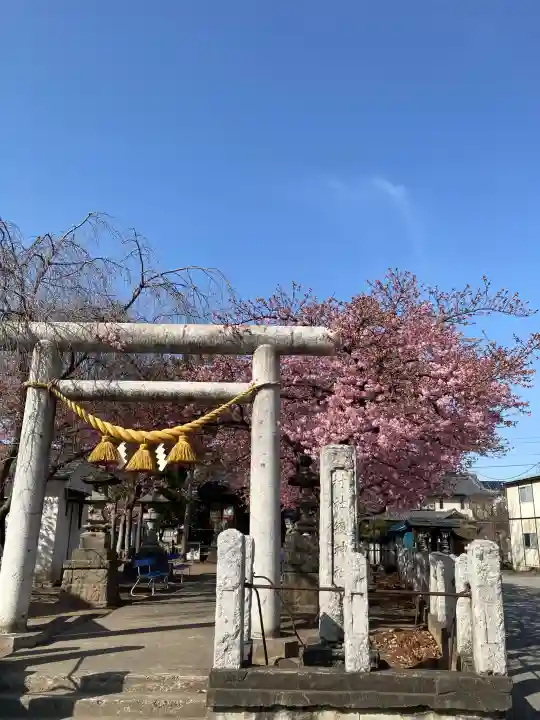 鏡神社の{uncategorized: "未分類", other: "その他", undefined: "問題あり", building: "その他建物", grave: "お墓", sacred_gate: "鳥居", guardian: "狛犬", statue: "像", buddha: "仏像", history: "歴史", nature: "自然", garden: "庭園", animal: "動物", pagoda: "塔", temizu: "手水舎", mountain_gate: "山門・神門", sanctuary: "本殿・本堂", subordinate: "末社・摂社", art: "芸術", scenery: "景色", jizo: "地蔵", ema: "絵馬", goshuin: "御朱印", omikuji: "おみくじ", items: "授与品その他", amulet: "お守り", goshuincho: "御朱印帳", eats: "食事", festival: "お祭り", votive_dance: "神楽", shichigosan: "七五三参", wedding: "結婚式", experience: "体験その他", initially: "初詣", around: "周辺", anti_infection: "感染症対策"}