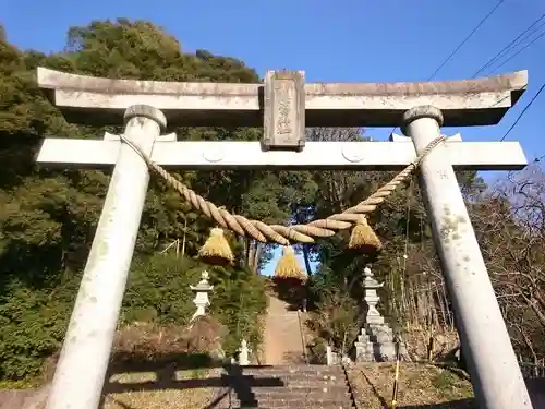 須佐之男神社の鳥居