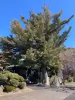 法蓮寺(神奈川県)