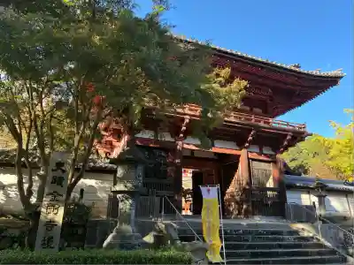 金剛寺(大阪府)