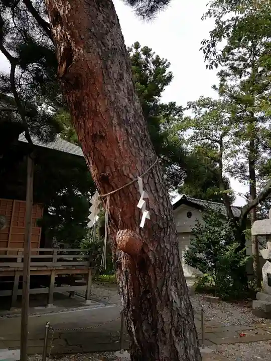 香久山神社の自然