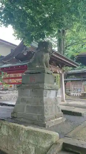 滝野川八幡神社の狛犬
