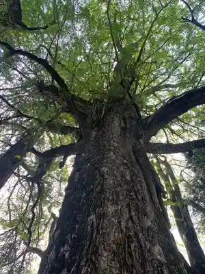 大石見神社(鳥取県)