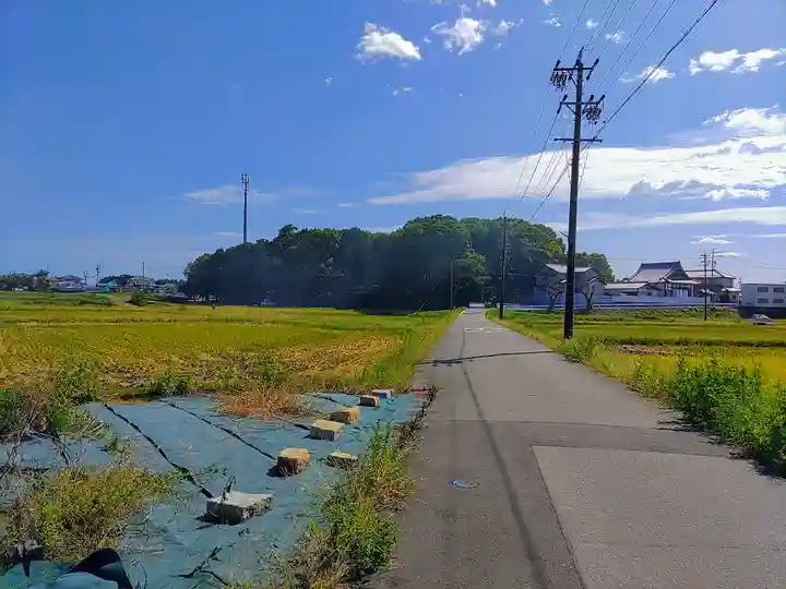 神明社(外坪神明社)の自然